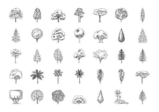 Free tree profiles stock photos. Download the best free tree profiles ...