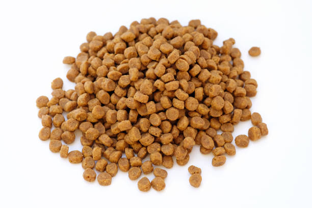 istock Animal food close-up top view. 1364969868