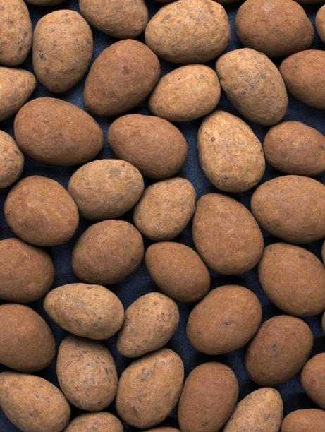 istock Chocolate covered almonds sprinkled with cocoa powder top view. 1364970024