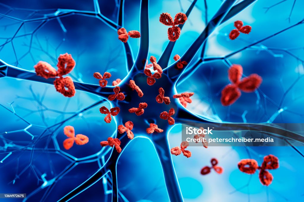 Nerve cell attacked by Antibodies Nerve cell attacked by Antibodies - 3D illustration of  autoimmune disease Autoimmune Disease Stock Photo