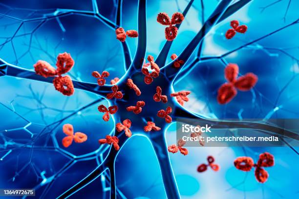 Nerve Cell Attacked By Antibodies Stock Photo - Download Image Now - Autoimmune Disease, Autoimmunity, Immune System