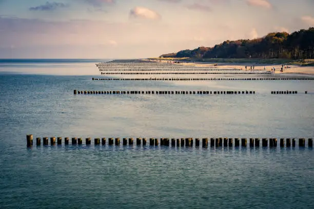 A couple of rows of poles building groynes at the beach in Baltic Sea at evening