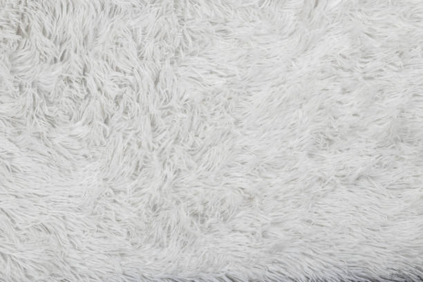 istock Synthetic fur white texture for the background 1364974354
