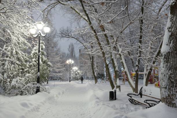 istock beautiful magic night snowfall in park. Mist snow blizzard storm. 1364974740