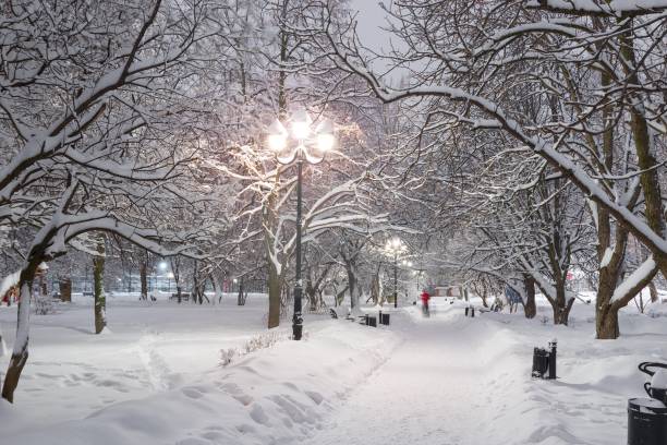istock beautiful magic night snowfall in park. Mist snow blizzard storm. 1364974742