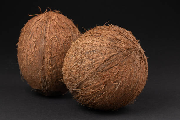 istock Coconut on dark background. Tropical fruit 1364976300