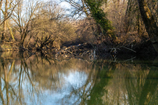 istock Beautiful Winter  of Vipava river 1364978075