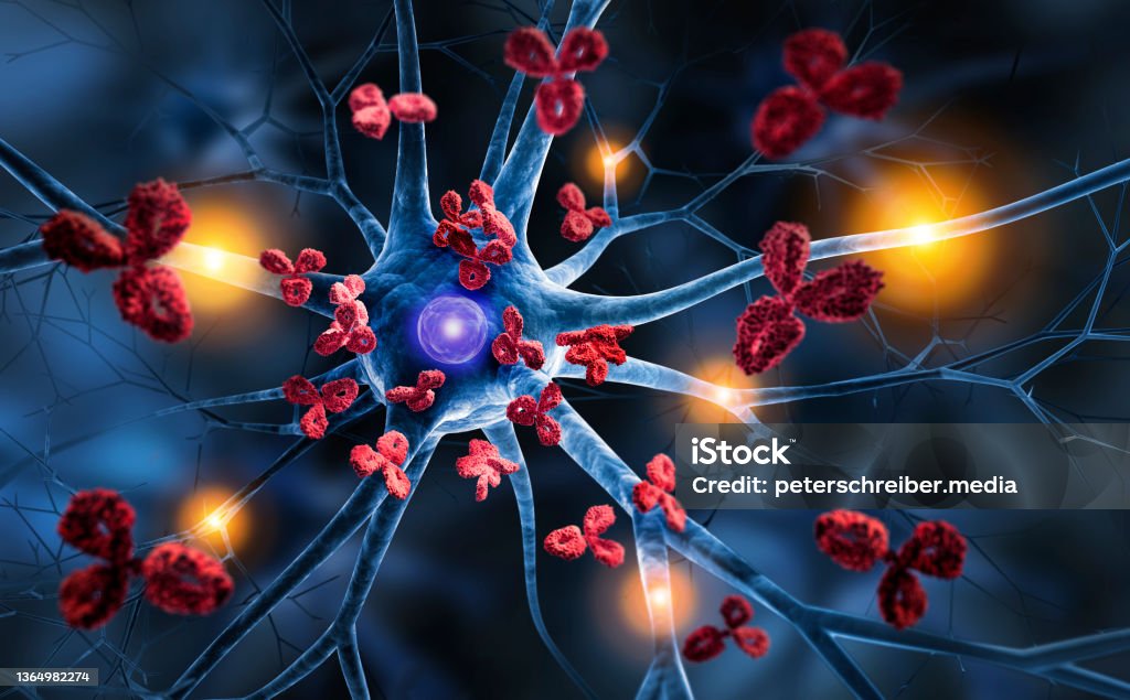 Nerve cell attacked by Antibodies Nerve cell attacked by Antibodies - 3D illustration of  autoimmune disease Multiple Sclerosis Stock Photo