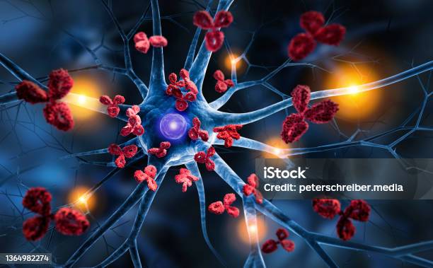 Nerve Cell Attacked By Antibodies Stock Photo - Download Image Now - Multiple Sclerosis, Autoimmune Disease, Alzheimer's Disease