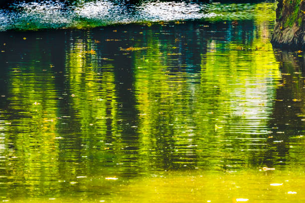 istock Aure River Reflection Abstract Bayeux Center Normandy France 1364983665