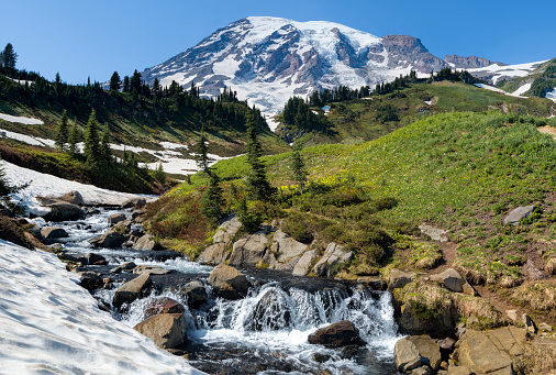 Edith Creek at Skyline Trail, Mount Rainier. Mount Rainier National Park, Washington State, USA