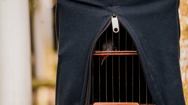 istock Prenjak bird in a cage covered with black cloth 1364986161