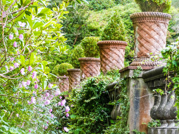 flower pots in irish garden