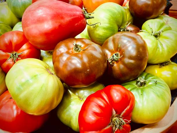 다양한 토종 토마토 - heirloom tomato organic tomato green tomato 뉴스 사진 이미지