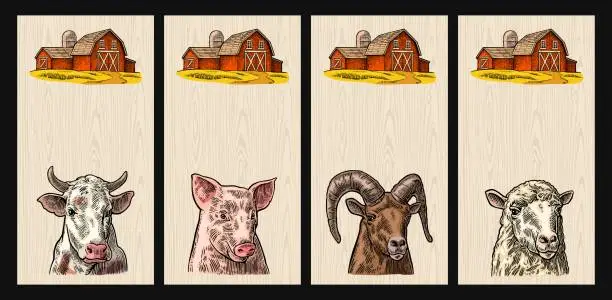 Vector illustration of Pig, cow, sheep and goat heads isolated on wood background.