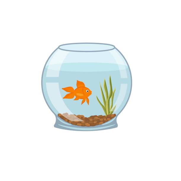 illustrazioni stock, clip art, cartoni animati e icone di tendenza di icona del pesce alghe d'acquario. cartone animato di acquario alghe pesce icona vettoriale per web design isolato su sfondo bianco - fish tank