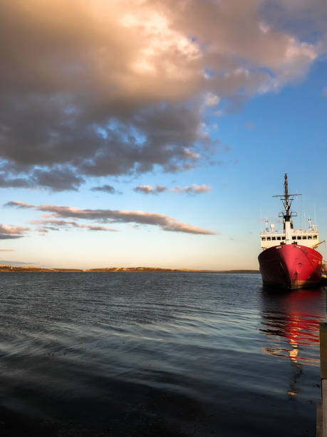 istock Falkland Travels 1364992897