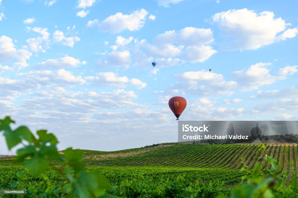 Hot Air Balloons rise over California Wine Country, Temecula, California Hot Air Balloons rise over  Temecula, California vineyard. Hot Air Balloon Stock Photo