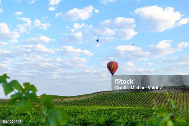 Hot Air Balloons Rise Over California Wine Country Temecula California Stock Photo - Download Image Now