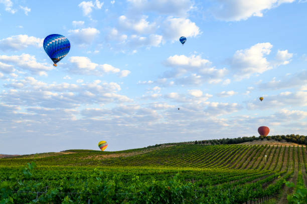 Hot Air Balloons rise over California Wine Country, Temecula, California stock photo