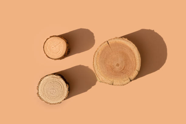 istock Three woodcut disks lying on a trendy beige background 1364994134