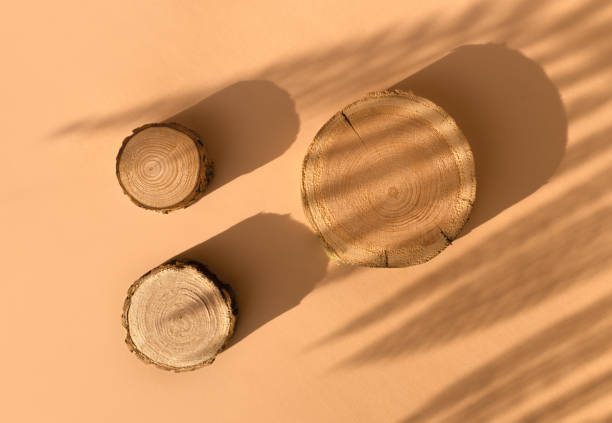 istock Three woodcut disks lying on a trendy beige background with flower shadows 1364994136