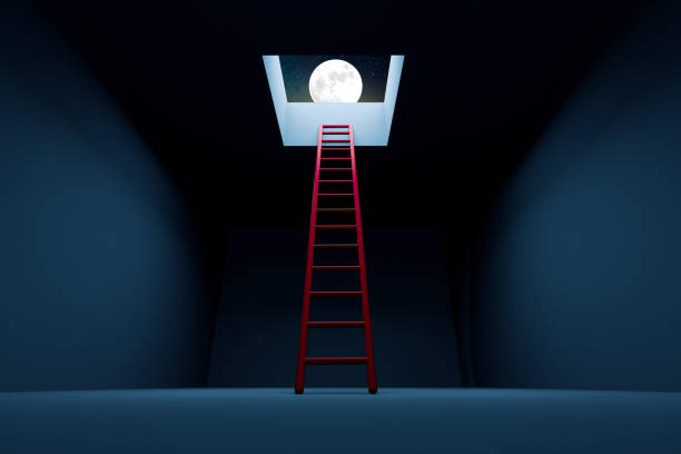 istock Ladder leading to a night sky 1364998362