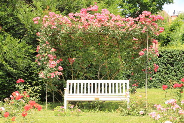 istock Sunny midsummer day in the Black Forest 1365000592