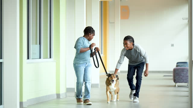 African-American boys walking dog in pet shelter hallway