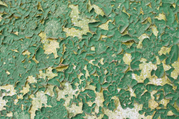 istock Grunge wall colored green background texture in rainbow style. 1365001988