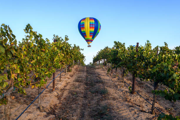 テメキュラバレーワインカントリー、カリフォルニア州の熱気球 - temecula riverside county california southern california ストックフォトと画像