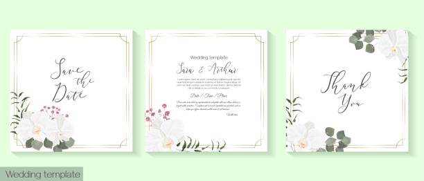 illustrazioni stock, clip art, cartoni animati e icone di tendenza di design floreale per inviti di nozze - bride backgrounds white bouquet