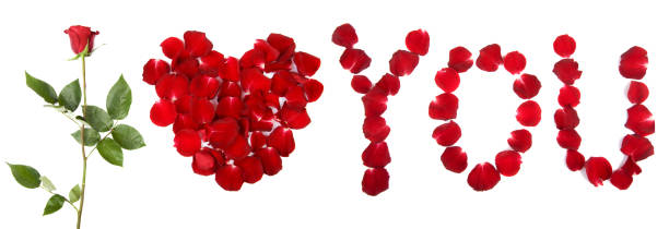 istock I love you rose petal sign 1365013036