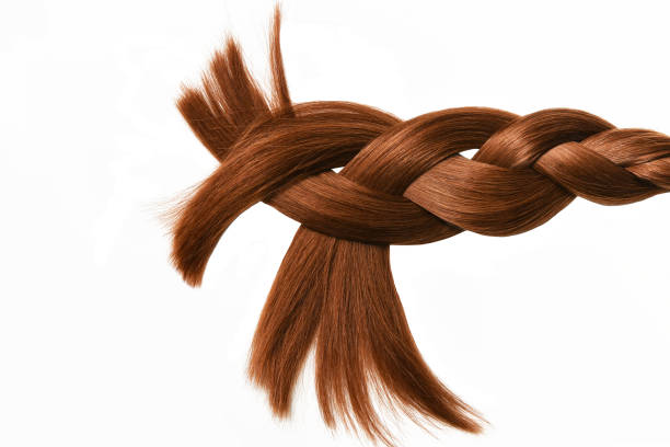 istock Brown hair natural , isolated on white background , beauty 1365013083