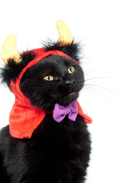 istock A black cat dressed up cutely with horns and red cape 136501312