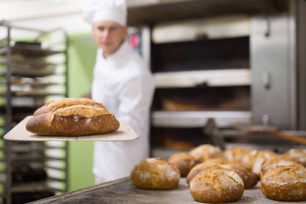 Freshly baked bread on peel in bakery Baker of small bakery holding hot bread on shovel just from oven, showing good quality of product baking bread stock pictures, royalty-free photos & images