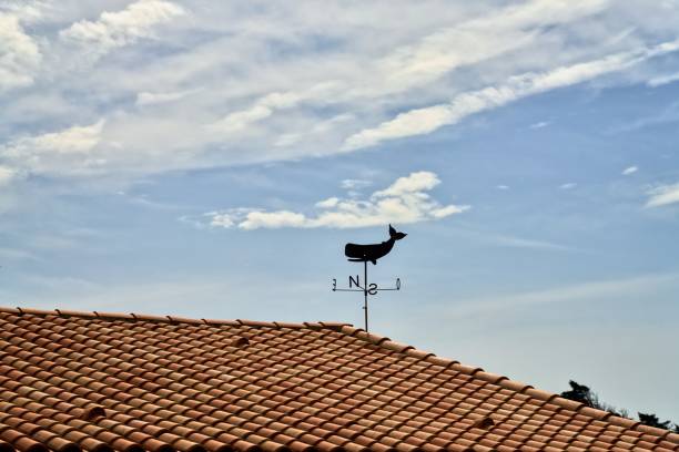 wetterfahne in form eines pottwals auf einem ziegeldach vor einem bewölkten blauen himmel - roof roof tile rooster weather vane stock-fotos und bilder