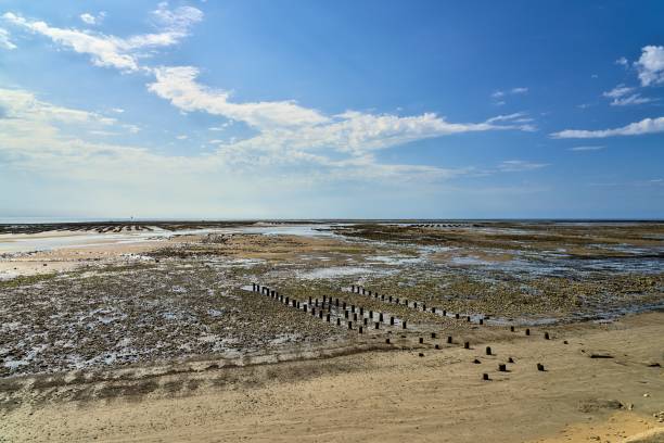 holzpfosten in einer reihe und austernbänke der austernzüchter am strand der ile de re bei ebbe - ile de re stock-fotos und bilder