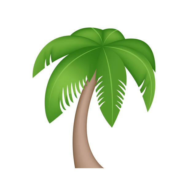 Palm Tree Vector Emoji Illustration Stock Illustration - Download Image Now  - Palm Tree, Emoticon, Palm Leaf - Istock