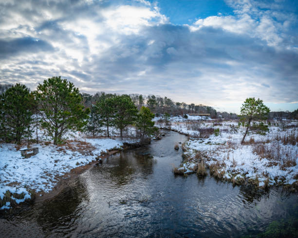 Winter landscape of old cranberry bogs revitalized for fish and wildlife sanctuary on Cape Cod, Massachusetts