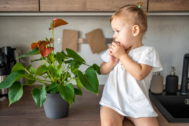 istock A baby girl with a flower on the kitchen table having fun 1365020324