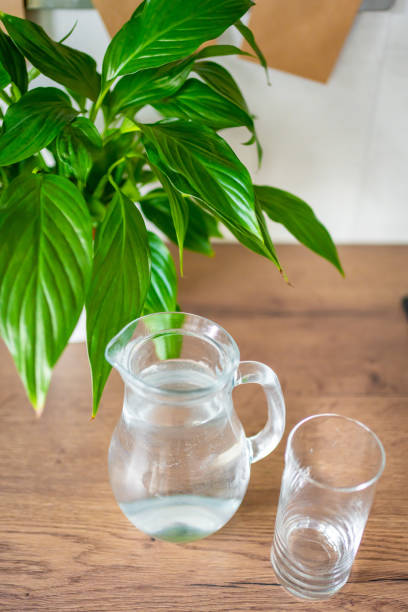 istock Jug with clear cold water on kitchen table in the home 1365021438