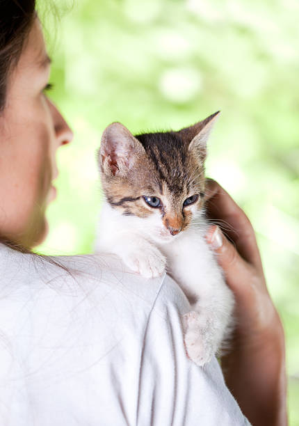 istock Girl holding a beautiful kitten 136502289