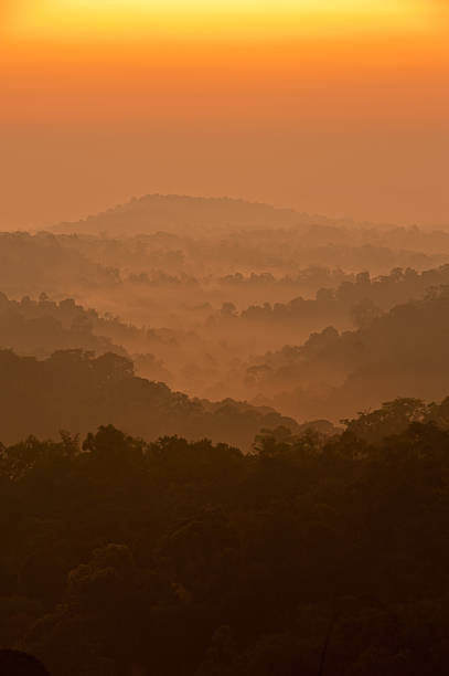 istock sunrise at misty forest and mountain 136502434