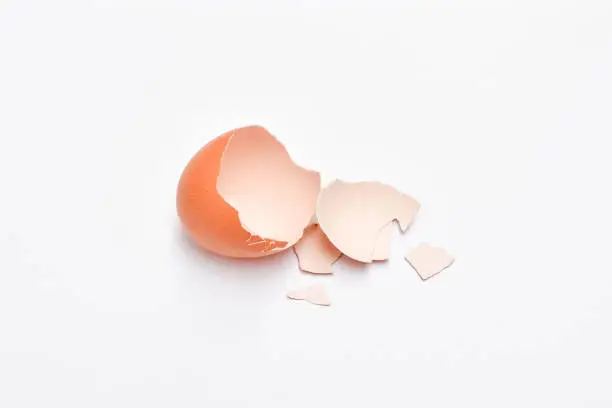 Photo of broken chicken egg shell isolated on white background