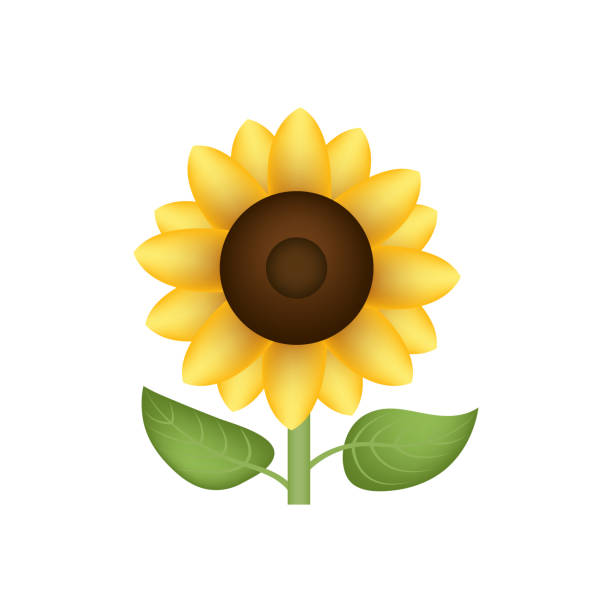 sunflower-vector-emoji-