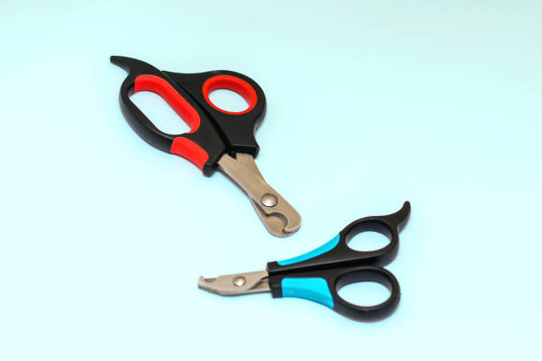 Two nail clippers for cats and dogs on a blue background.