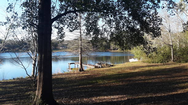istock Sunny afternoon at Lake O Pines 1365034479