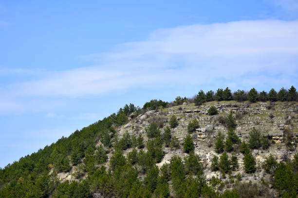 istock Limestone mountainside covered with pine trees. Natural landscape against the blue sky with blurry clouds. 1365037467