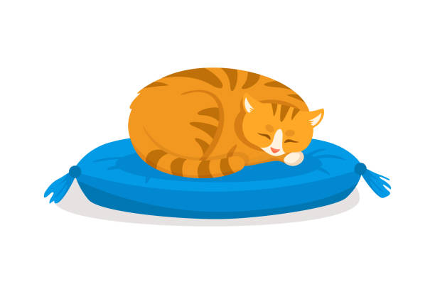 2,856 Cat In Bed Illustrations & Clip Art - iStock | Sleeping with cat in  bed, Dog and cat in bed, Sleeping cat in bed